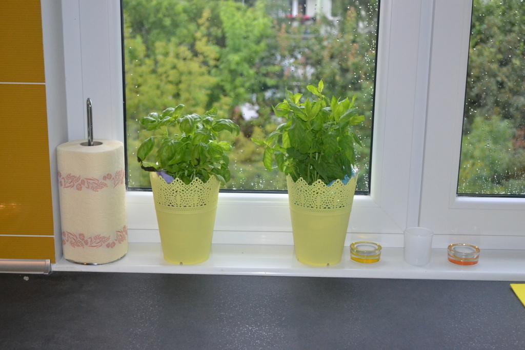 Jtb Apartament Chopina Apartment Szczecin Cameră foto